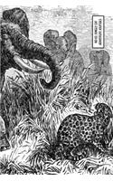 No 63. Jungle Cat: (Adventure Journals)