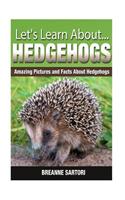 Hedgehogs: Amazing Pictures and Facts about Hedgehogs
