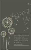 Before I Go