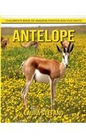 Antelope