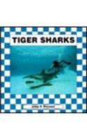 Tiger Sharks