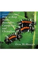 Lepidopteran Zoology