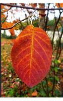 Bright Orange Leaf Journal