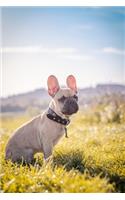 French Bulldogs Dog Pup Puppy Doggie Notebook Bullet Journal Diary Composition Book Notepad - Standing On Grass
