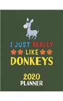 I Just Really Like Donkeys 2020 Planner
