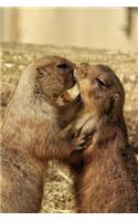 Prairie Dogs in Love Journal: 150 page lined notebook/diary