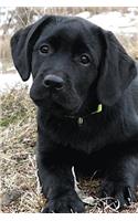 Black Lab Puppy Journal: Dog Wisdom Quotes