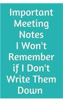 Important Meeting Notes I Won't Remember If I Don't Write Them Down: Blank Journal Lined - Office Worker Journal - Gift for Coworker