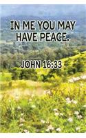 In Me You May Have Peace. John 16