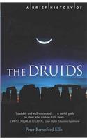 A Brief History of the Druids