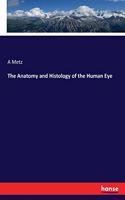 Anatomy and Histology of the Human Eye