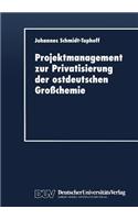 Projektmanagement zur Privatisierung der ostdeutschen Großchemie