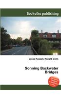 Sonning Backwater Bridges
