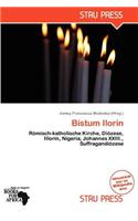 Bistum Ilorin: (German)