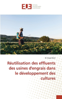 Réutilisation des effluents des usines d'engrais dans le développement des cultures