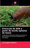 Extracção de ADN a partir de tecido epitelial de lesma