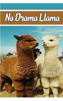 No Drama Llama