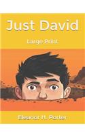 Just David: Large Print