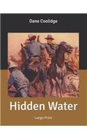 Hidden Water: Large Print