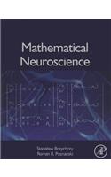 Mathematical Neuroscience