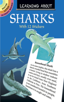 Learning About Sharks