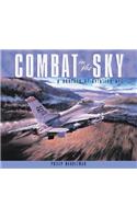 Combat in the Sky