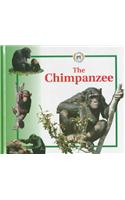 The Chimpanzee