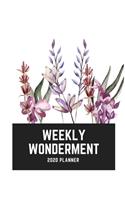 Weekly Wonderment