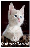 Gratitude Journal
