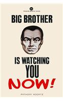 Big Brother is Watching You NOW!