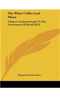 The White Coffee-Leaf Miner