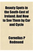 Beauty Spots in the South-East of Ireland; And How to See Them by Car and Cycle