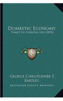 Domestic Economy