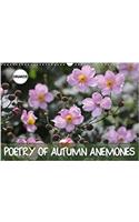 Poetry of Autumn Anemones 2018