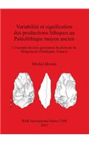 Variabilité et signification des productions lithiques au Paléolithique moyen ancien