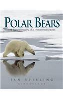 Polar Bears