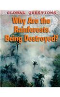 Why Are the Rainforests Being Destroyed?