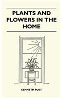 Plants and Flowers in the Home