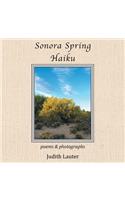 Sonora Spring Haiku