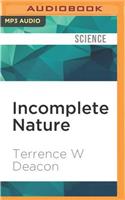 Incomplete Nature
