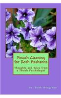 Pesach Cleaning for Rosh Hashanna