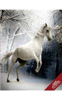 Horse Notebook Collection: (Horse Notebook, Journal, Diary) (Notebook Gifts) Collect Them All