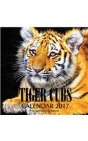 Tiger Cubs Calendar 2017: 16 Month Calendar