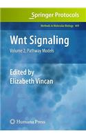 Wnt Signaling