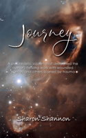 Journey: A psychedelic sojourn that deepened the author's healing work with wounded warriors and others scarred by trauma