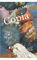 Copia: Building a Verbal Repertory for Rhetorical Effectiveness, Featuring Instruction and Exercises for the College Writing Student