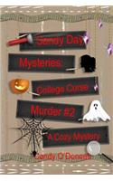 Sandy Day Mystery