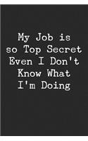 My Job Is Top Secret Even I Don't Know What I'm Doing