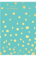 Turquoise Notebook