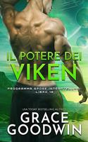 Potere dei Viken